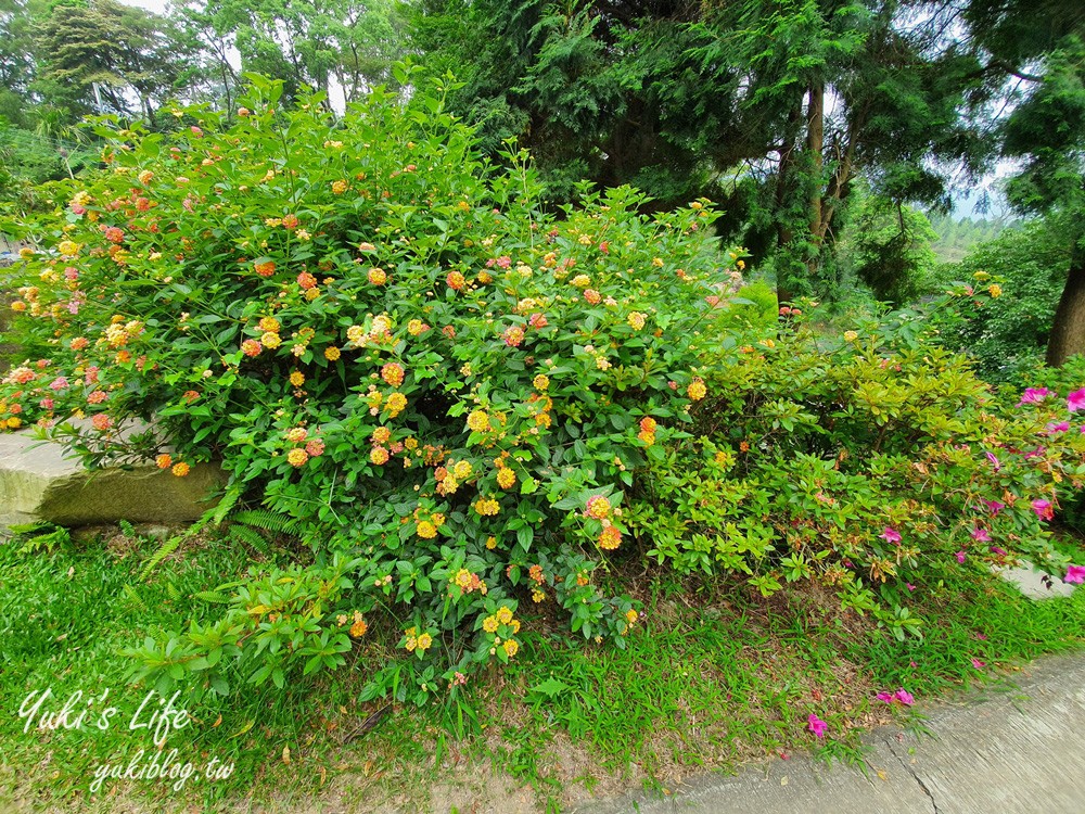 桃園美食》丸山咖啡，浪漫景觀餐廳，草皮溜滑梯親子好去處！ - yuki.tw