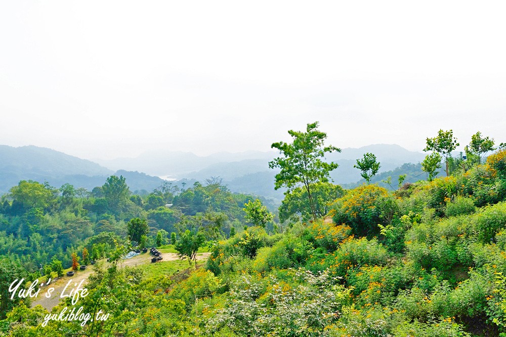 桃園美食》丸山咖啡，浪漫景觀餐廳，草皮溜滑梯親子好去處！ - yuki.tw