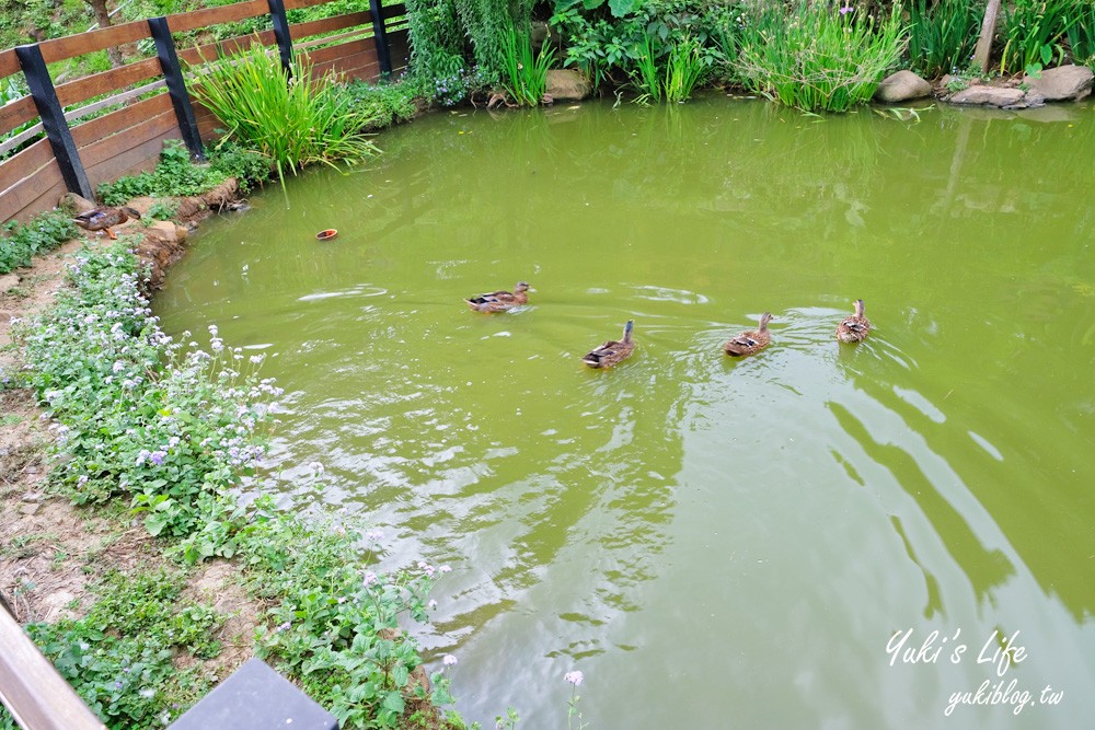 桃園美食》丸山咖啡，浪漫景觀餐廳，草皮溜滑梯親子好去處！ - yuki.tw