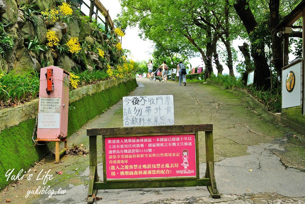 新北八里柚香農場(桃樂絲森林餐廳)小動物親子景觀餐廳、草皮沙坑、免門票 - yuki.tw