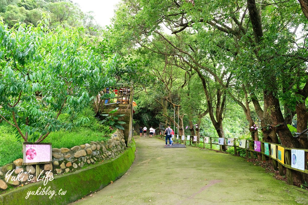 新北八里柚香農場(桃樂絲森林餐廳)小動物親子景觀餐廳、草皮沙坑、免門票 - yuki.tw