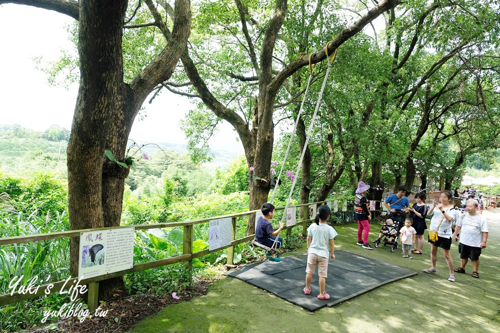 新北八里柚香農場(桃樂絲森林餐廳)小動物親子景觀餐廳、草皮沙坑、免門票 - yuki.tw