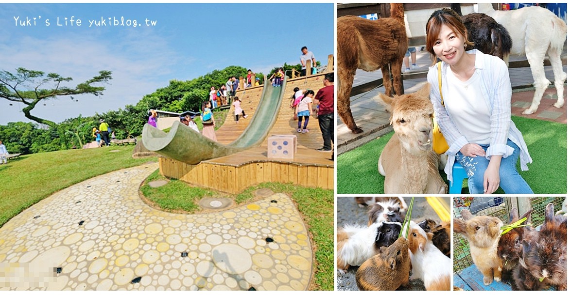 彰化南投餵草泥馬親子景點~小動物、景觀餐廳、夜景、U型溜滑梯~一日遊玩好玩滿！