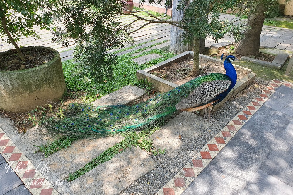 苗栗景點【日新島】吊橋湖中島親子景點×水榭樓台景觀咖啡廳~明德水庫自然風光散步去 - yuki.tw