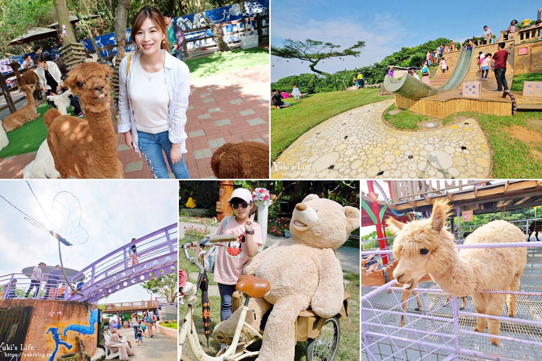 彰化南投餵草泥馬親子景點~小動物、景觀餐廳、夜景、U型溜滑梯~一日遊玩好玩滿！ - yuki.tw