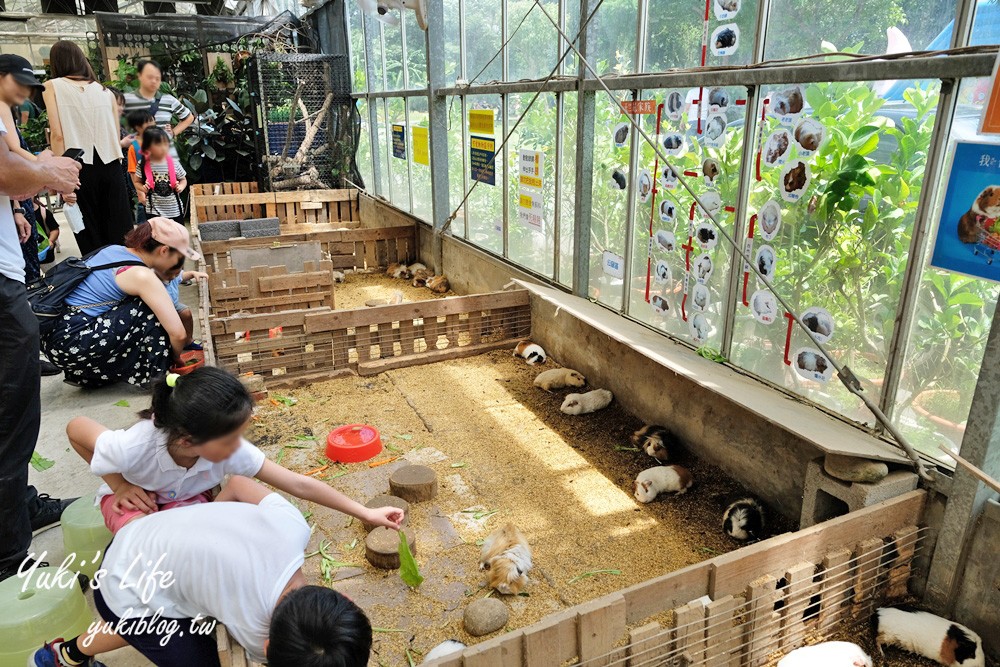 新北景點【準園休閒農場】假日親子草地野餐好去處×餵天竺鼠、釣螯蝦、窯烤披薩DIY - yuki.tw