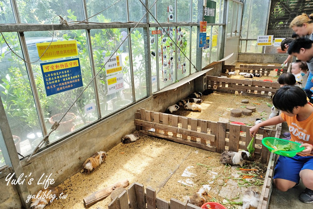 新北景點【準園休閒農場】假日親子草地野餐好去處×餵天竺鼠、釣螯蝦、窯烤披薩DIY - yuki.tw