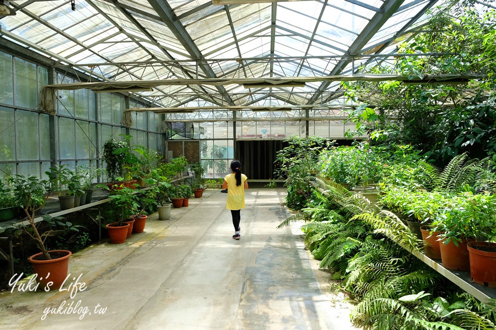 新北景點【準園休閒農場】假日親子草地野餐好去處×餵天竺鼠、釣螯蝦、窯烤披薩DIY - yuki.tw