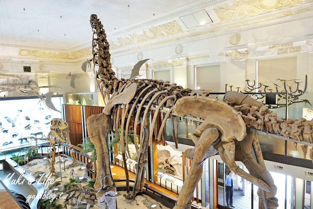 台北親子景點》國立臺灣博物館(古生物館)恐龍超壯觀！228公園玩好玩滿！ - yuki.tw