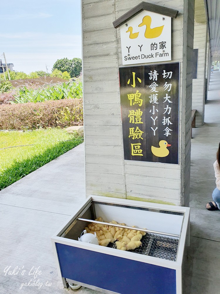 宜蘭親子景點【甲鳥園】五星級鴨寮玩水餵鴨鴨~鴨蛋蛋糕必吃~礁溪一日遊推薦 - yuki.tw