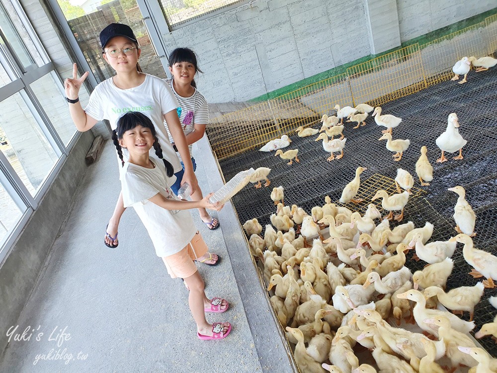 宜蘭親子景點【甲鳥園】五星級鴨寮玩水餵鴨鴨~鴨蛋蛋糕必吃~礁溪一日遊推薦 - yuki.tw