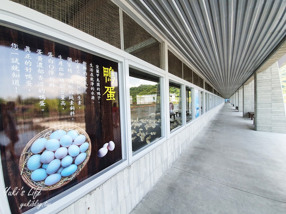 宜蘭親子景點【甲鳥園】五星級鴨寮玩水餵鴨鴨~鴨蛋蛋糕必吃~礁溪一日遊推薦 - yuki.tw