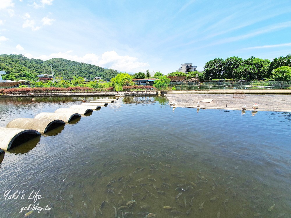 宜蘭親子景點【甲鳥園】五星級鴨寮玩水餵鴨鴨~鴨蛋蛋糕必吃~礁溪一日遊推薦 - yuki.tw