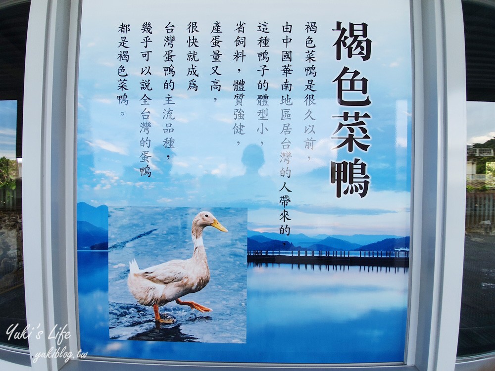 宜蘭親子景點【甲鳥園】五星級鴨寮玩水餵鴨鴨~鴨蛋蛋糕必吃~礁溪一日遊推薦 - yuki.tw