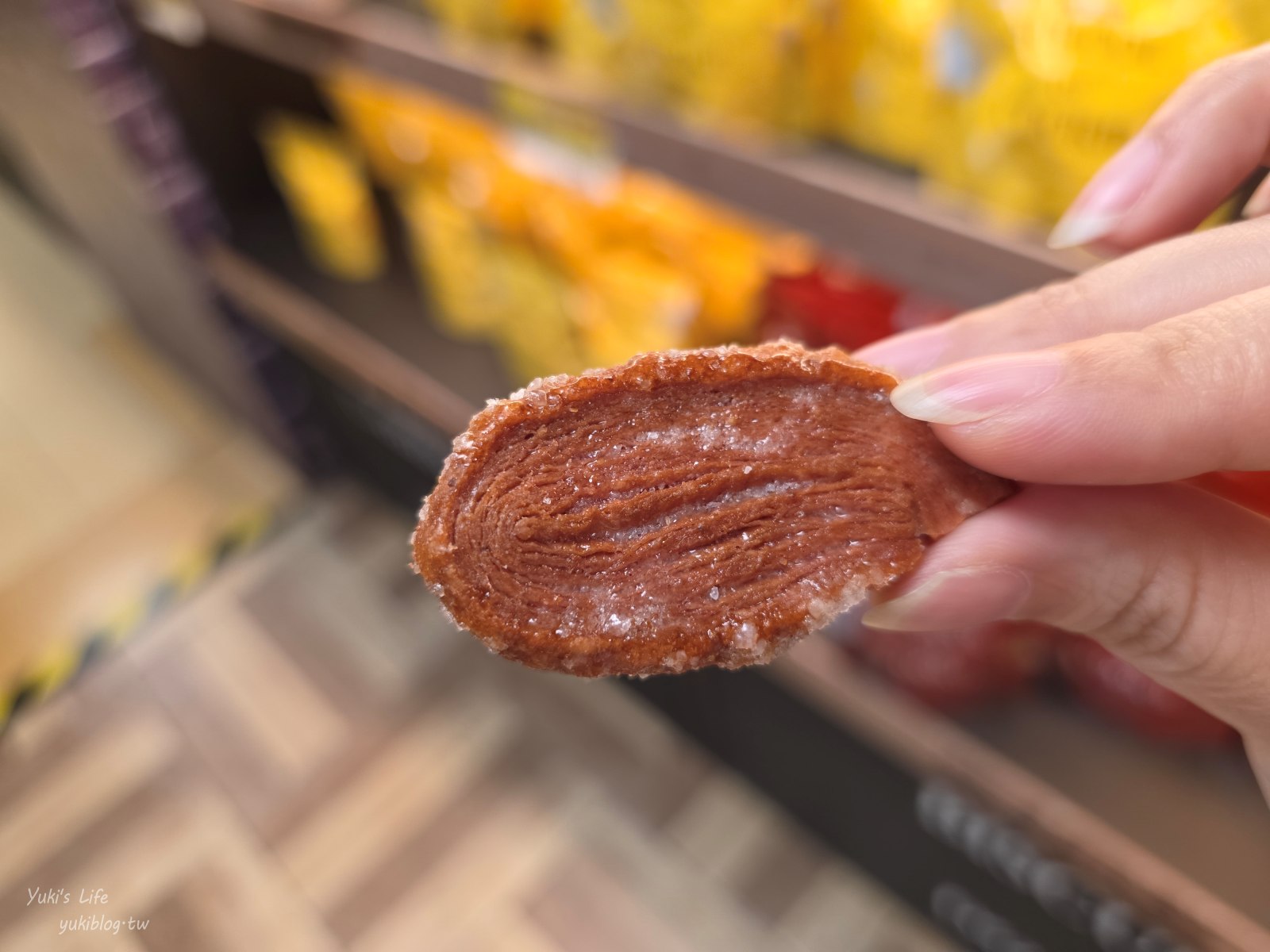 20251112134217_0_493a60 彰化┃台灣優格餅乾學院┃走進餅乾魔法世界！免費咖啡好大心，餅乾試吃、DIY、城堡外觀超好拍