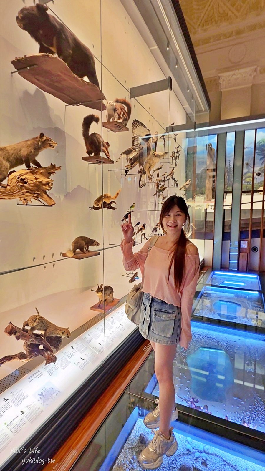 20260929222624_0_235556 【台北室內景點】銅板價一票玩兩館!走進「國立臺灣博物館古生物館」開箱台北侏儸紀與百年神秘金庫