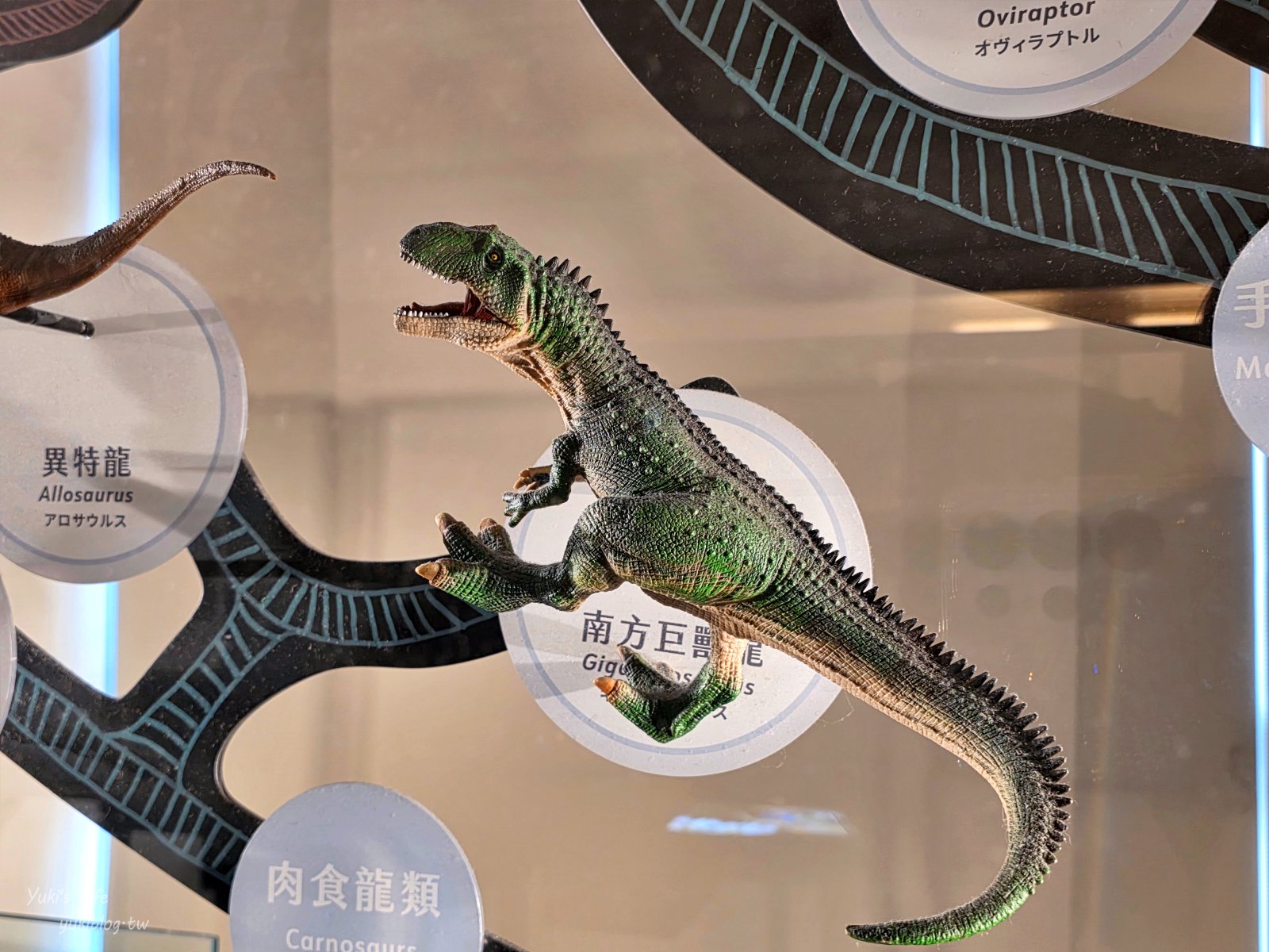 20260929223100_0_7b8b52 【台北室內景點】銅板價一票玩兩館!走進「國立臺灣博物館古生物館」開箱台北侏儸紀與百年神秘金庫