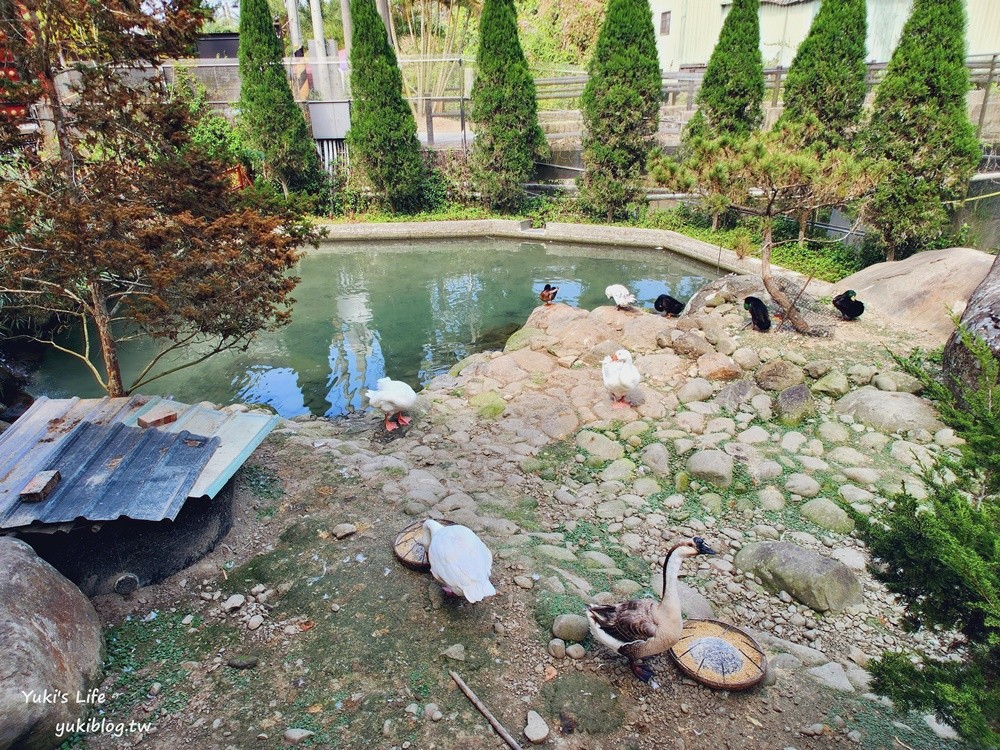 雲林古坑|桂林映象會館|免門票泰國風景觀餐廳,戲水池免費玩! - yuki.tw