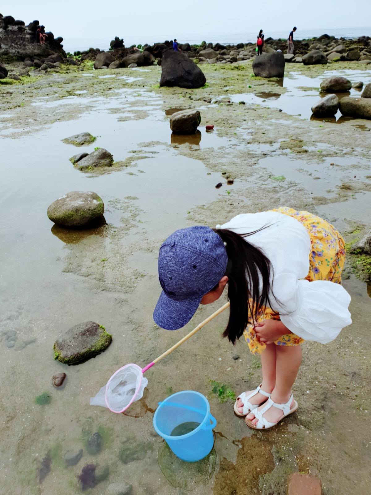 【北海岸東北角景點】親子一日遊行程超豐富！IG網美照、玩水抓螃蟹~從早玩到晚！ - yuki.tw