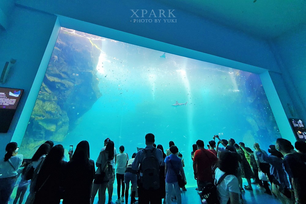 桃園親子景點『Xpark台灣八景島水族館』跟企鵝一起喝咖啡(門票、停車、一日遊行程) - yuki.tw