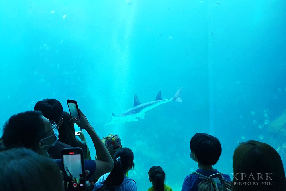 桃園親子景點『Xpark台灣八景島水族館』跟企鵝一起喝咖啡(門票、停車、一日遊行程) - yuki.tw