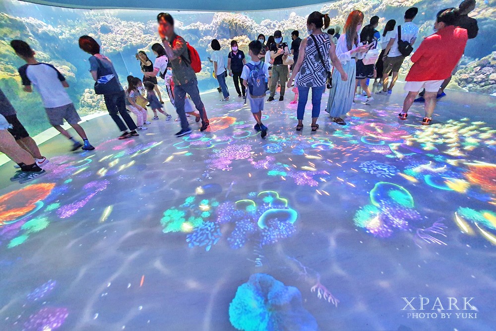 桃園親子景點『Xpark台灣八景島水族館』跟企鵝一起喝咖啡(門票、停車、一日遊行程) - yuki.tw