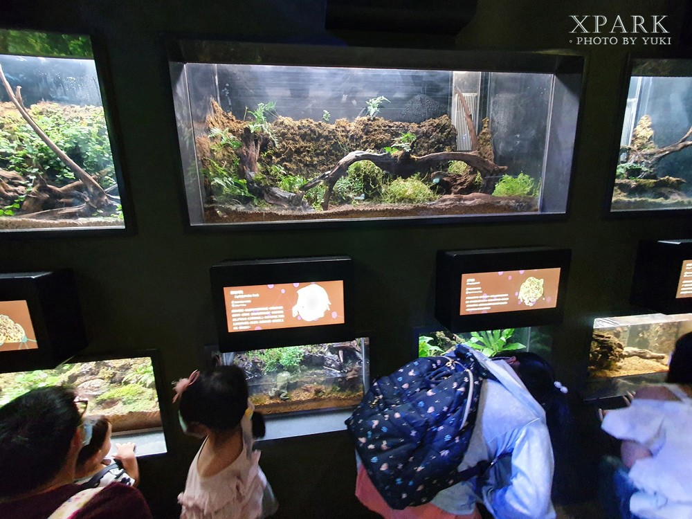 桃園親子景點『Xpark台灣八景島水族館』跟企鵝一起喝咖啡(門票、停車、一日遊行程) - yuki.tw