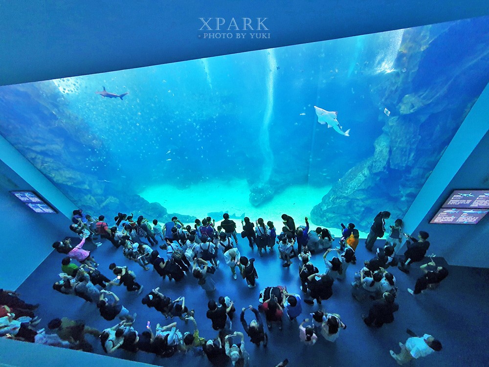 桃園親子景點『Xpark台灣八景島水族館』跟企鵝一起喝咖啡(門票、停車、一日遊行程) - yuki.tw