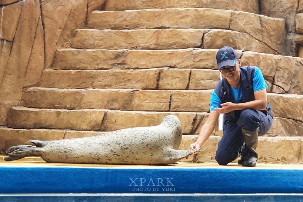 桃園親子景點『Xpark台灣八景島水族館』跟企鵝一起喝咖啡(門票、停車、一日遊行程) - yuki.tw