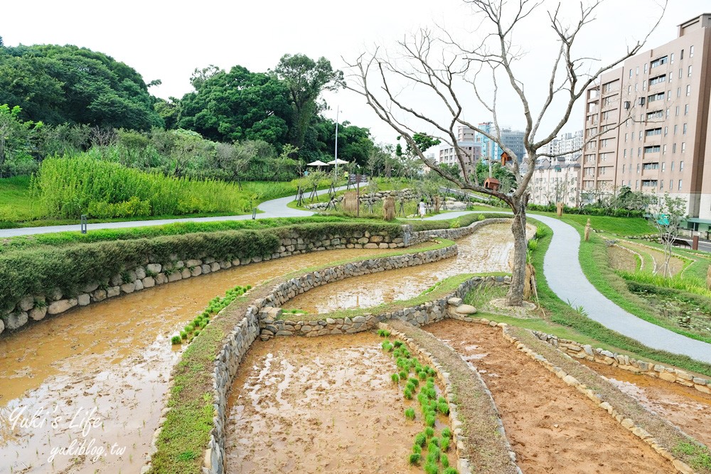 桃園親子景點【大有梯田生態公園】全國首創梯田公園!共融式森林遊戲區~玩水、野餐、冒險桃戰場! - yuki.tw