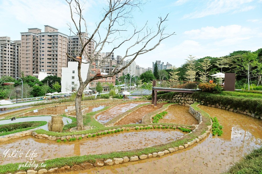 桃園親子景點【大有梯田生態公園】全國首創梯田公園!共融式森林遊戲區~玩水、野餐、冒險桃戰場! - yuki.tw