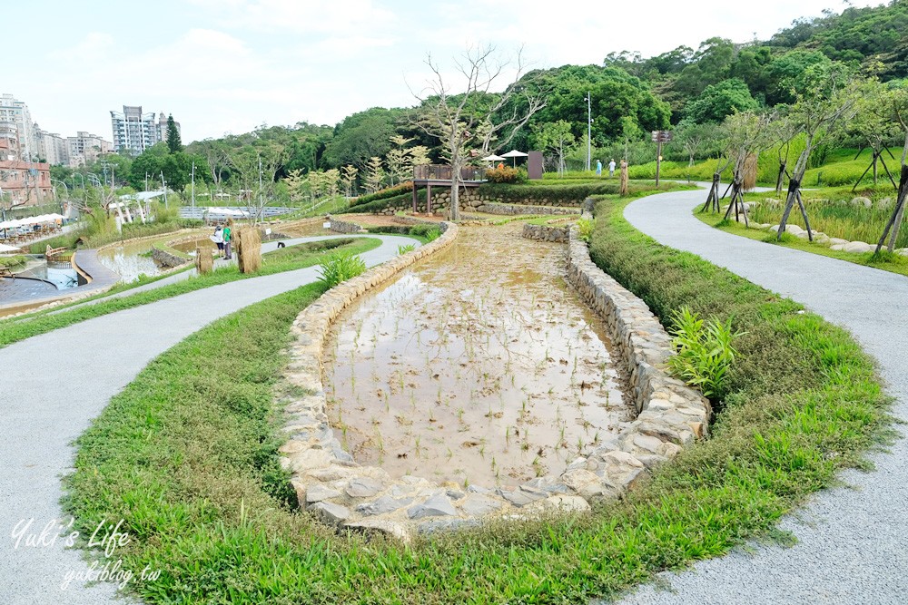 桃園親子景點【大有梯田生態公園】全國首創梯田公園!共融式森林遊戲區~玩水、野餐、冒險桃戰場! - yuki.tw