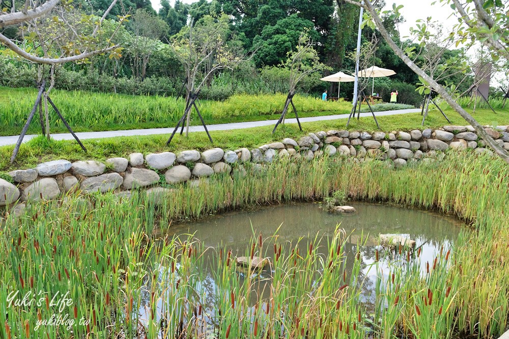 桃園親子景點【大有梯田生態公園】全國首創梯田公園!共融式森林遊戲區~玩水、野餐、冒險桃戰場! - yuki.tw