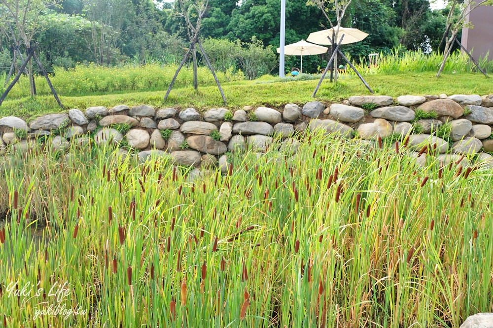 桃園親子景點【大有梯田生態公園】全國首創梯田公園!共融式森林遊戲區~玩水、野餐、冒險桃戰場! - yuki.tw