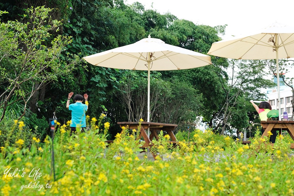 桃園親子景點【大有梯田生態公園】全國首創梯田公園!共融式森林遊戲區~玩水、野餐、冒險桃戰場! - yuki.tw