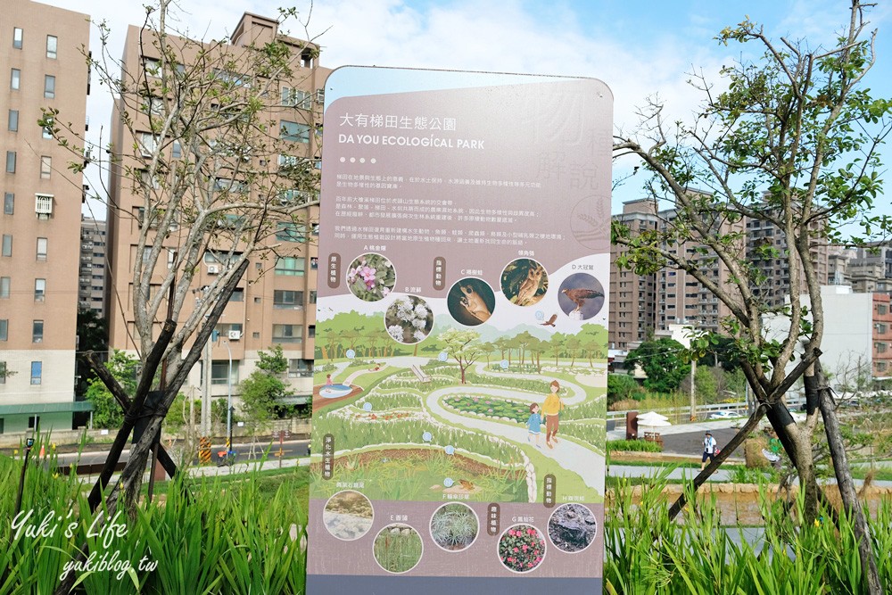 桃園親子景點【大有梯田生態公園】全國首創梯田公園!共融式森林遊戲區~玩水、野餐、冒險桃戰場! - yuki.tw