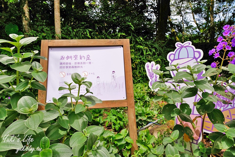 台中新社景點【薰衣草森林】森林旋轉木馬秘境~紫色浪漫花園~約會景觀餐廳 - yuki.tw