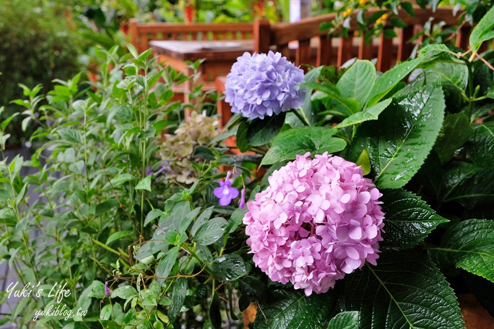 台中新社景點【薰衣草森林】森林旋轉木馬秘境~紫色浪漫花園~約會景觀餐廳 - yuki.tw