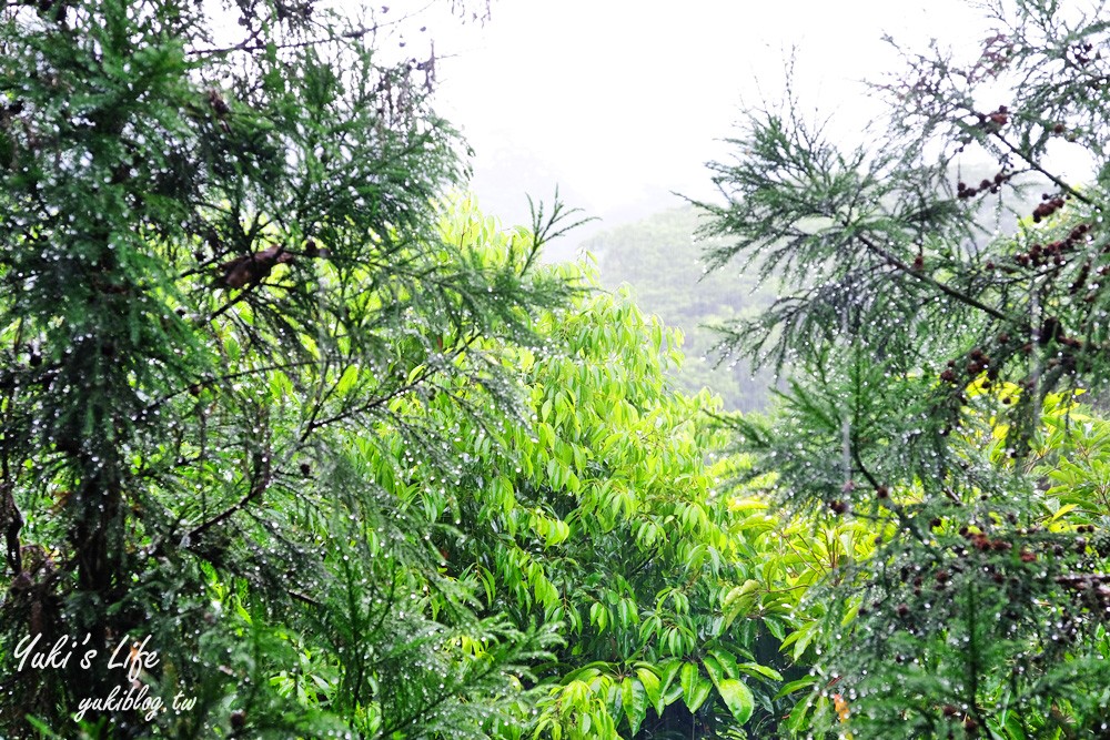 台中新社景點【薰衣草森林】森林旋轉木馬秘境~紫色浪漫花園~約會景觀餐廳 - yuki.tw