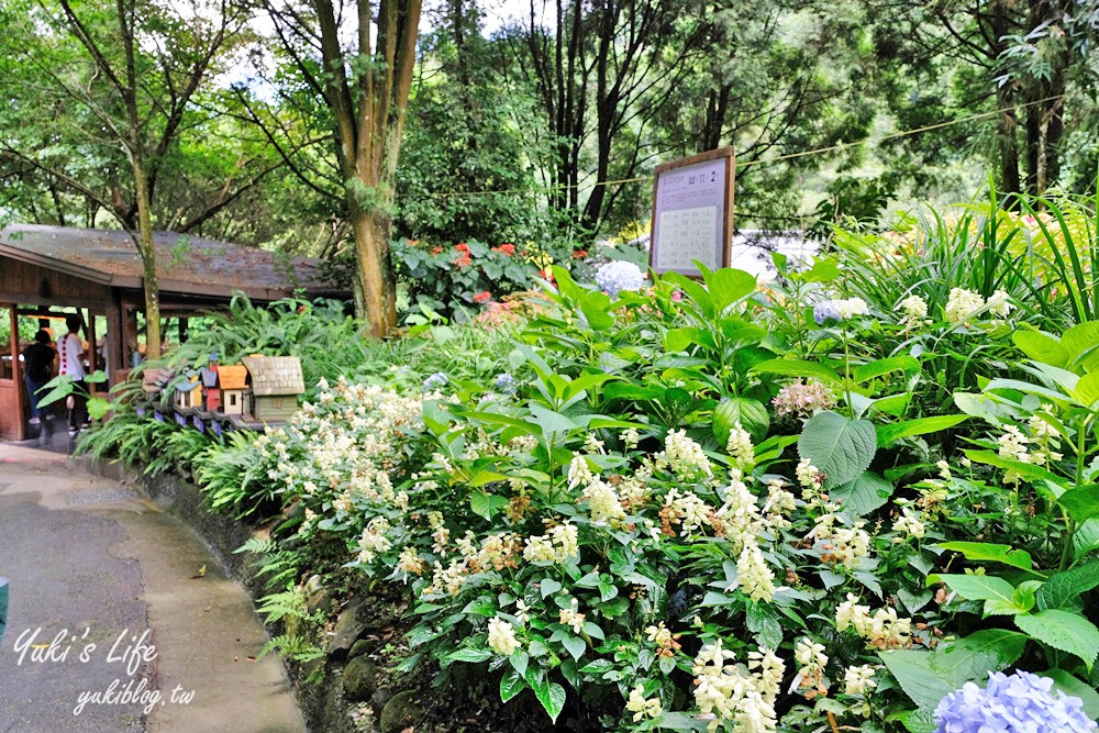 台中新社景點【薰衣草森林】森林旋轉木馬秘境~紫色浪漫花園~約會景觀餐廳 - yuki.tw