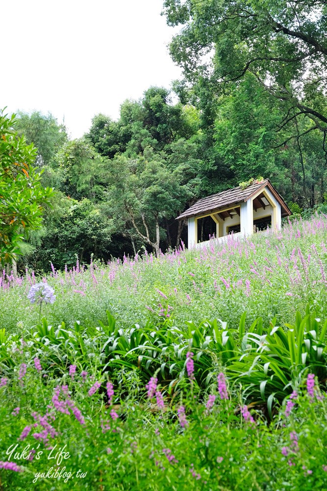 台中新社景點【薰衣草森林】森林旋轉木馬秘境~紫色浪漫花園~約會景觀餐廳 - yuki.tw