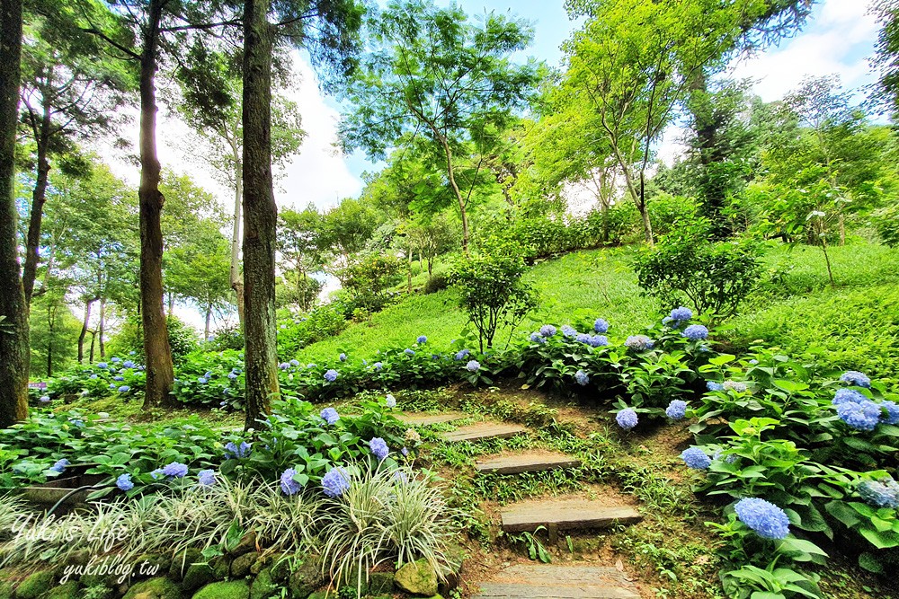 台中新社景點【薰衣草森林】森林旋轉木馬秘境~紫色浪漫花園~約會景觀餐廳 - yuki.tw