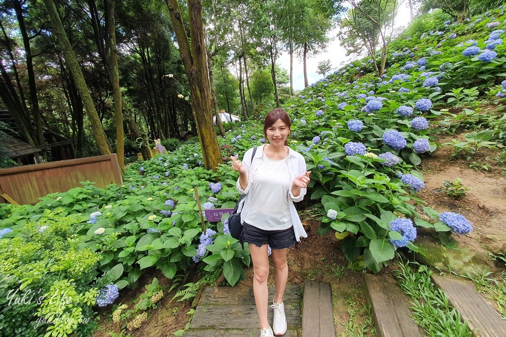 台中新社景點【薰衣草森林】森林旋轉木馬秘境~紫色浪漫花園~約會景觀餐廳 - yuki.tw