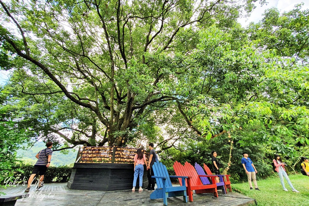 台中新社景點【薰衣草森林】森林旋轉木馬秘境~紫色浪漫花園~約會景觀餐廳 - yuki.tw