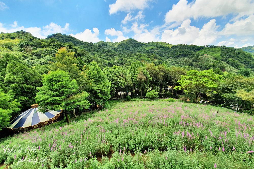 台中新社景點【薰衣草森林】森林旋轉木馬秘境~紫色浪漫花園~約會景觀餐廳 - yuki.tw