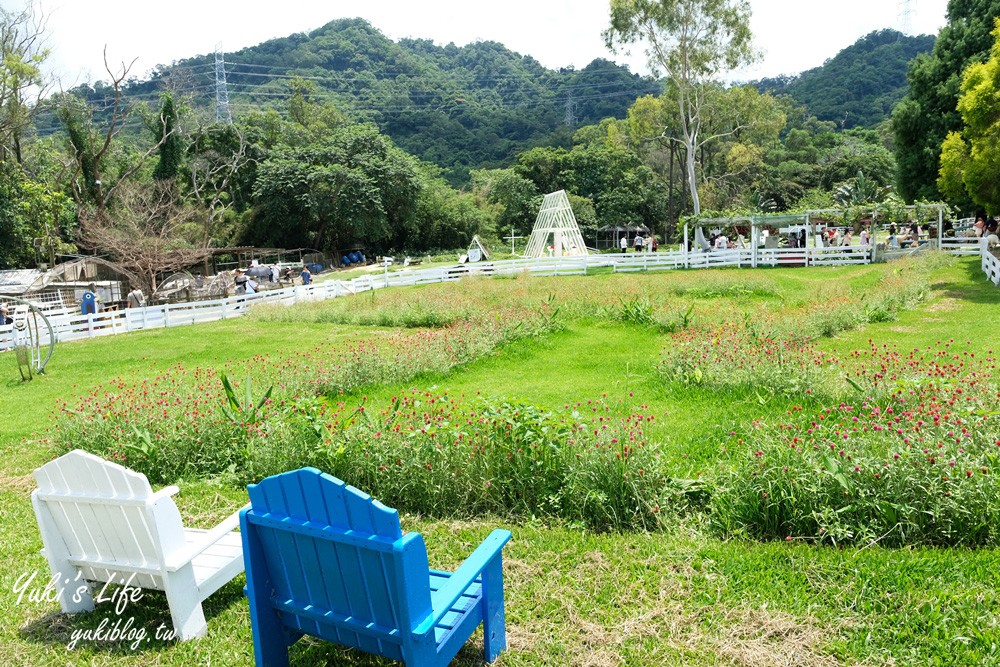 桃園大溪親子景點【富田花園農場】餵草泥馬餵小豬 浪漫水晶教堂 草泥馬冰棒 - yuki.tw