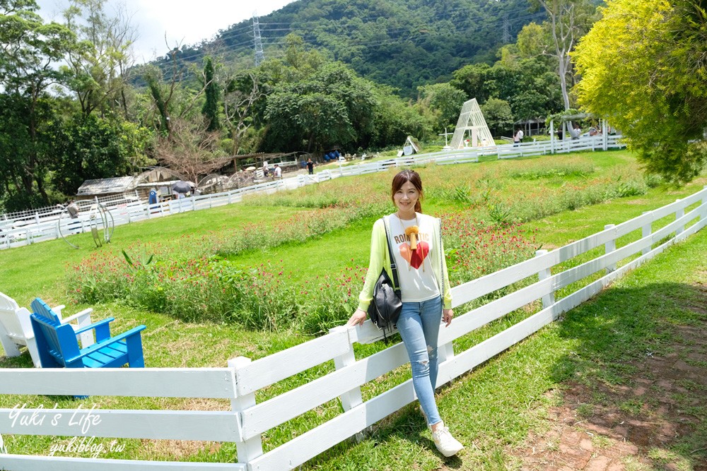 桃園大溪親子景點【富田花園農場】餵草泥馬餵小豬 浪漫水晶教堂 草泥馬冰棒 - yuki.tw