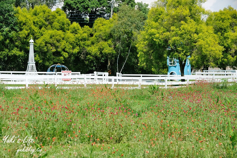 桃園大溪親子景點【富田花園農場】餵草泥馬餵小豬 浪漫水晶教堂 草泥馬冰棒 - yuki.tw