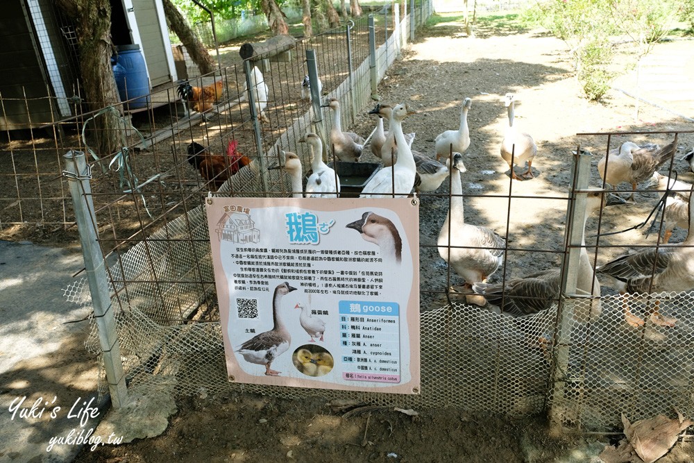 桃園大溪親子景點【富田花園農場】餵草泥馬餵小豬 浪漫水晶教堂 草泥馬冰棒 - yuki.tw