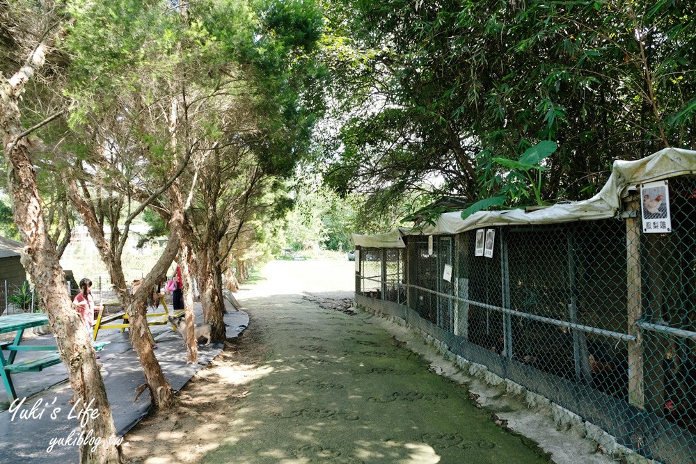 桃園大溪親子景點【富田花園農場】餵草泥馬餵小豬 浪漫水晶教堂 草泥馬冰棒 - yuki.tw